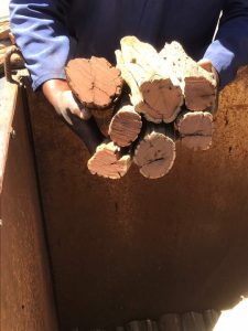 sekelbos braai hout mooi schoon