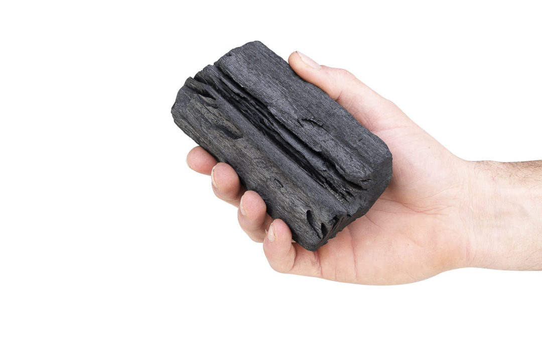 Aziatische Eucalyptus Houtskool van Flames & Flavour