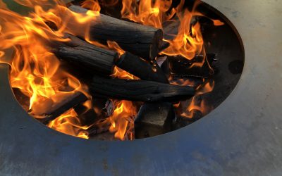 Ofyr Hout; welk hout kan je het beste voor je Ofyr kopen?